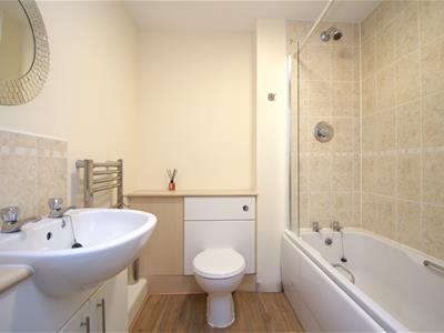 Picture 8
